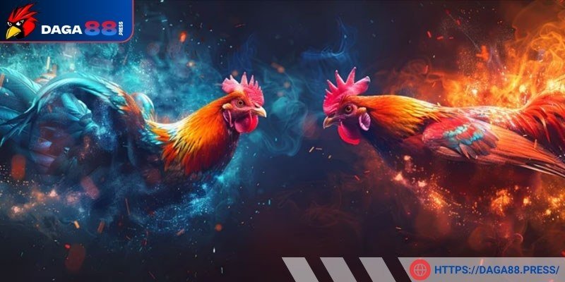 Các loại hình cá cược đá gà đang hot nhất