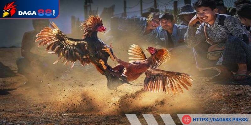 Đa dạng loại hình và tỷ lệ trả thưởng hấp dẫn