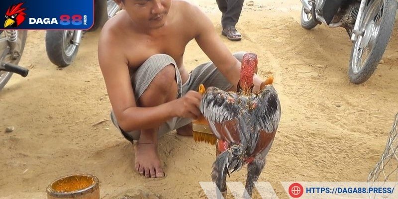 Tiến hành quét nghệ thật đúng