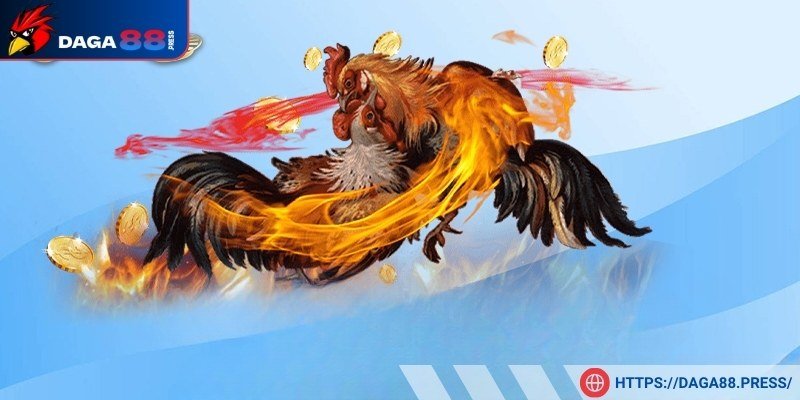 Trận đấu đầy kịch tính 