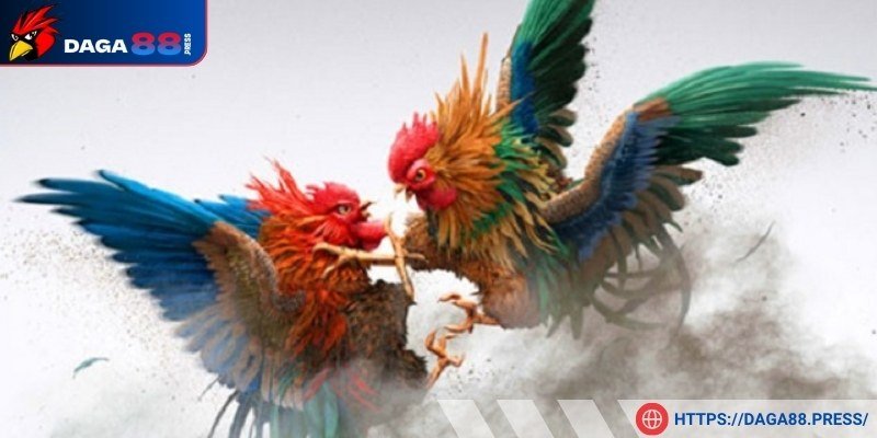 Lựa chọn thời điểm cá cược phù hợp nhất