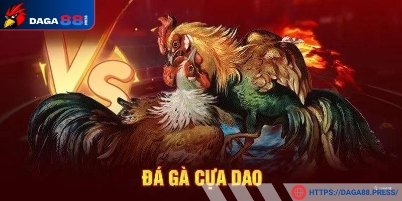 Lựa chọn các kê chiến