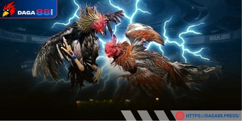 Những chiến thuật huấn luyện thể lực