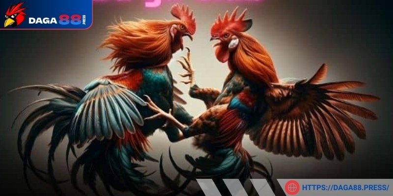 Tổng quan về đá gà mạng