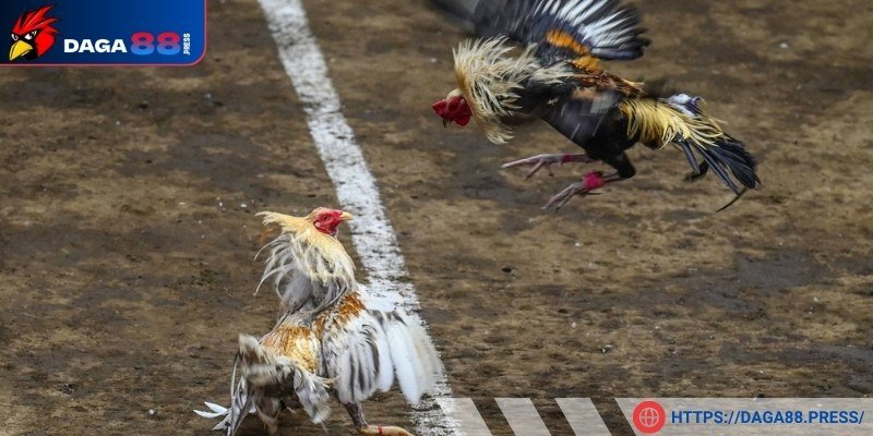 Khoảnh khắc định đoạt trận đấu