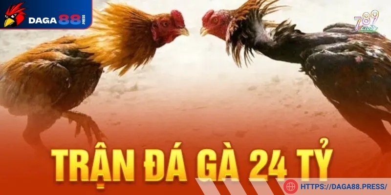 Tìm hiểu về trận đá gà 24 tỷ