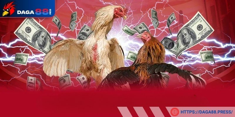 Tác động lớn của trận đấu với cược thủ