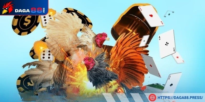 Tìm hiểu kỹ về các chiến kê